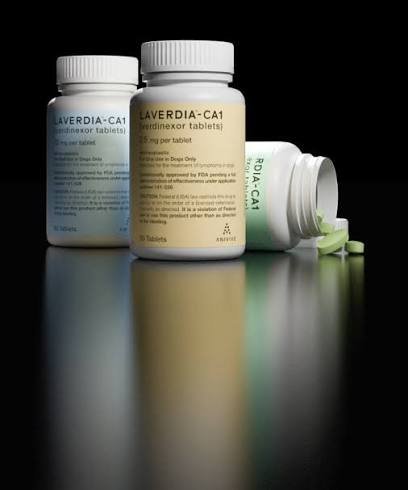 Anivive Wins Full FDA Approval for Laverdia, Expanding At-Home Lymphoma Treatment for Dogs